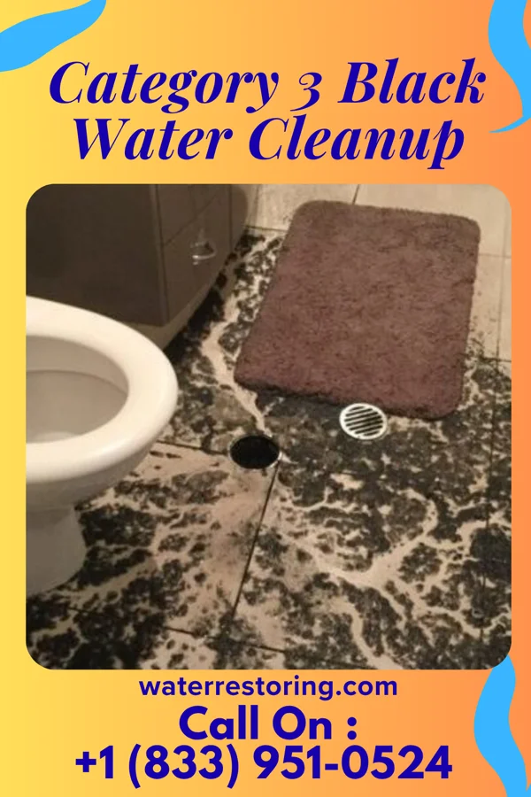 Category 3 Black Water Cleanup in Alma, GA
