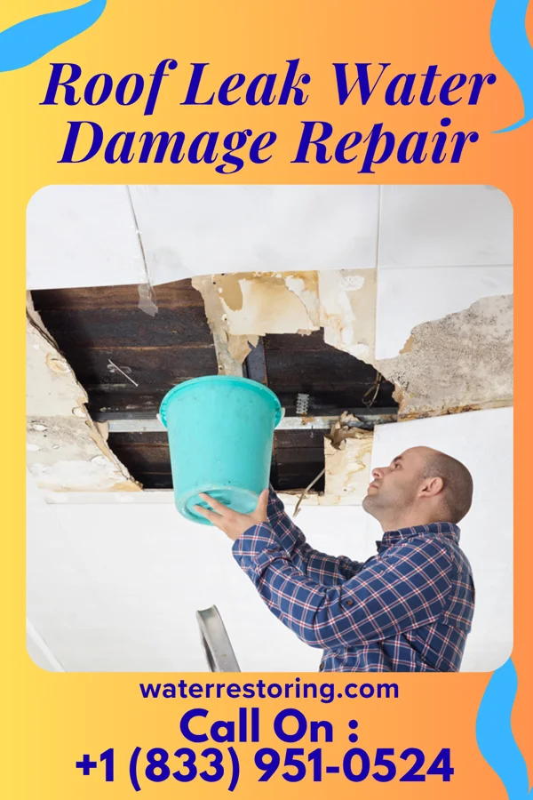 Roof Leak Water Damage Repair in Alma, GA