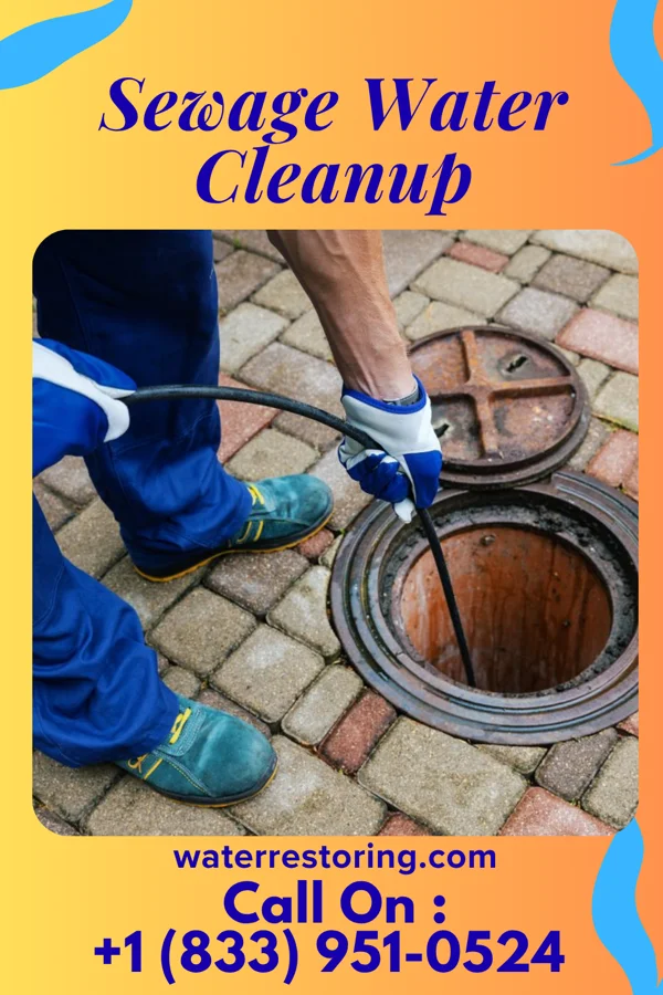 Sewage Water Cleanup in Alma, GA